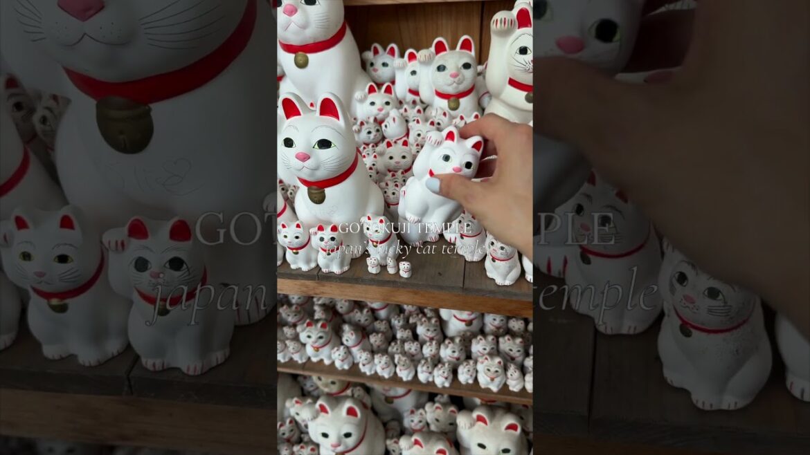 Gōtokuji Temple: A Must-Visit in Tokyo for Good Fortune! 🐱✨ Gōtokuji Temple: A Must-Visit in Tokyo for Good Fortune! 🐱✨