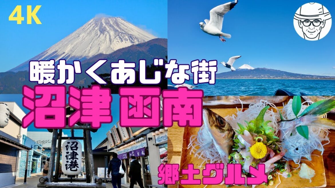 【4K】沼津と函南観光（富士と駿河湾/郷土グルメ/体験型/モデルコース）