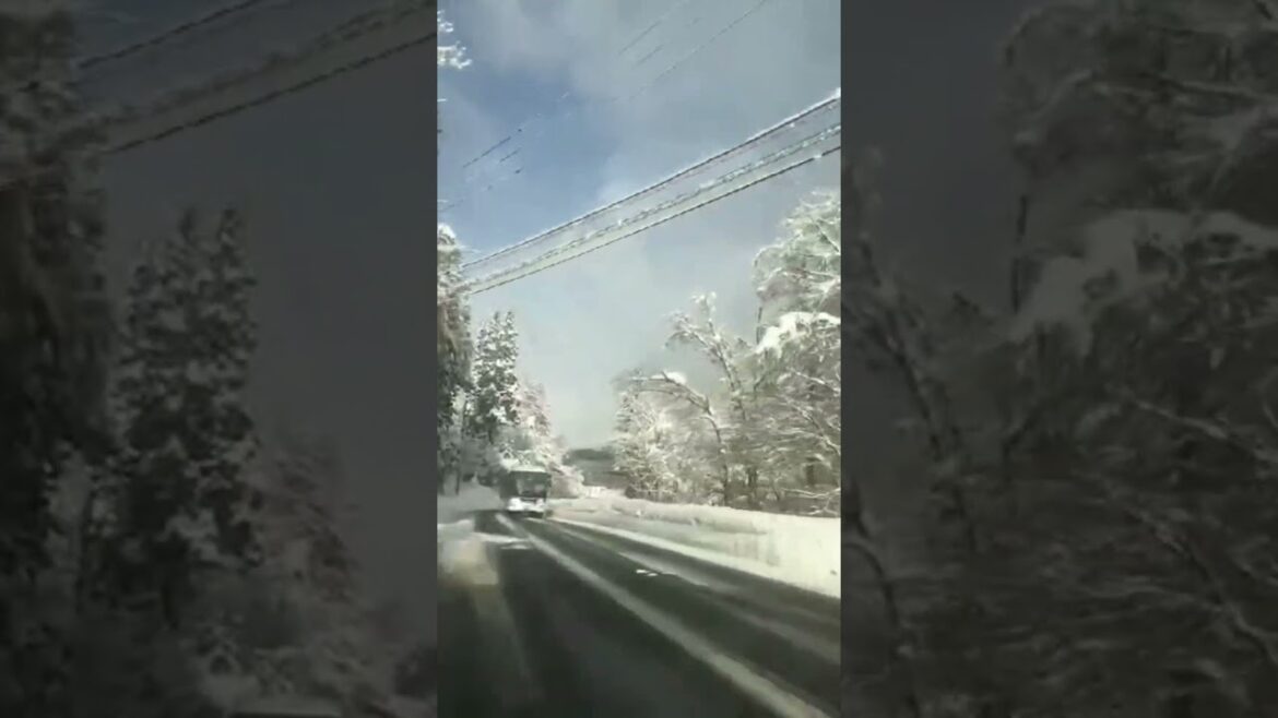 ISHIKAWA To SHIZUOKA |Travel & Events | BlissfulMomentsWithUs | #Viral | #Short #Trending ISHIKAWA To SHIZUOKA |Travel & Events | BlissfulMomentsWithUs | #Viral | #Short #Trending