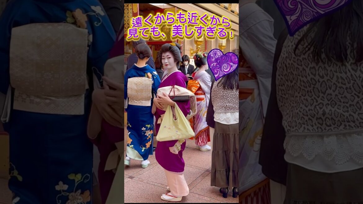 遠くからも近くから見ても、美しすぎる芸妓さん!京都祇園。Geisha is so beautiful whether seen from far or up close! Gion, Kyoto. 遠くからも近くから見ても、美しすぎる芸妓さん!京都祇園。Geisha is so beautiful whether seen from far or up close! Gion, Kyoto.
