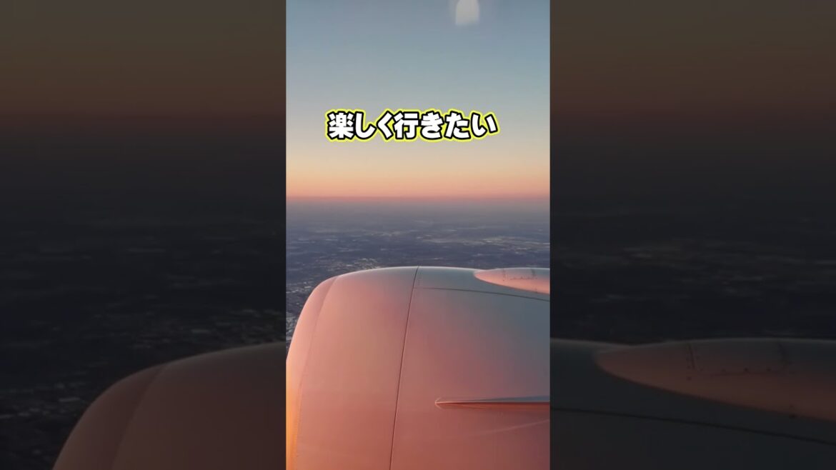 LAS修行shorts #海外発券#shorts #ana修行