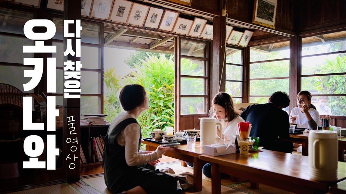 11월의 오키나와 여행 Full VOD |  풀영상