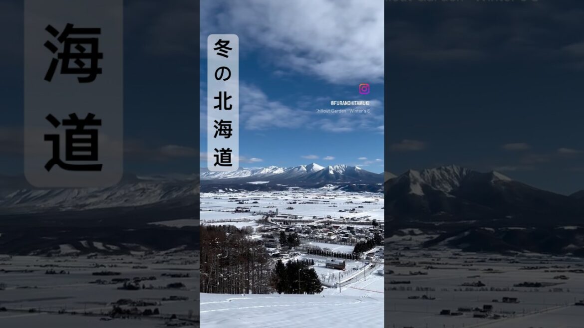 【富良野観光物語】冬の十勝岳連峰　#shorts #winterseason #hokkaido #furano #japantravel