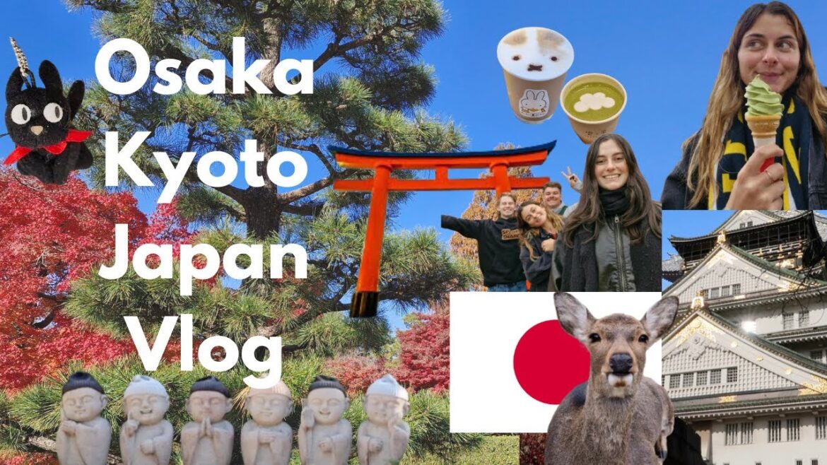 Osaka and Kyoto Japan vlog | week of castles, temples, matcha, sake and autumn leaves
