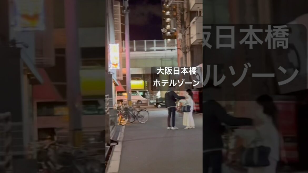 大阪日本橋