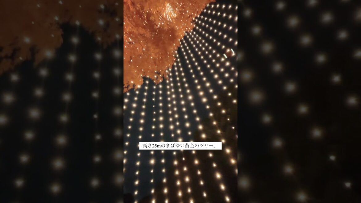 2024年 神戸 三宮 クリスマスイルミネーション まとめ 🎅🎄.*｜神戸 三宮 イルミネーション おすすめ#イルミネーション #神戸 #クリスマス