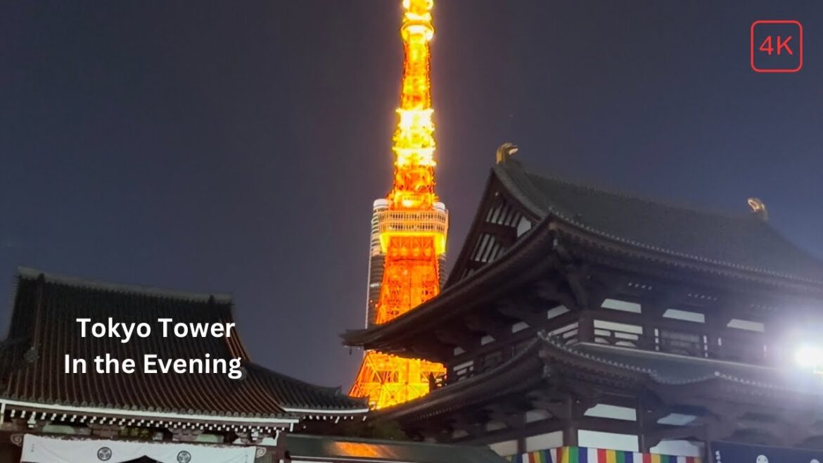 Experience the BEST Tokyo Tower Tour at NIGHT in 4K!
