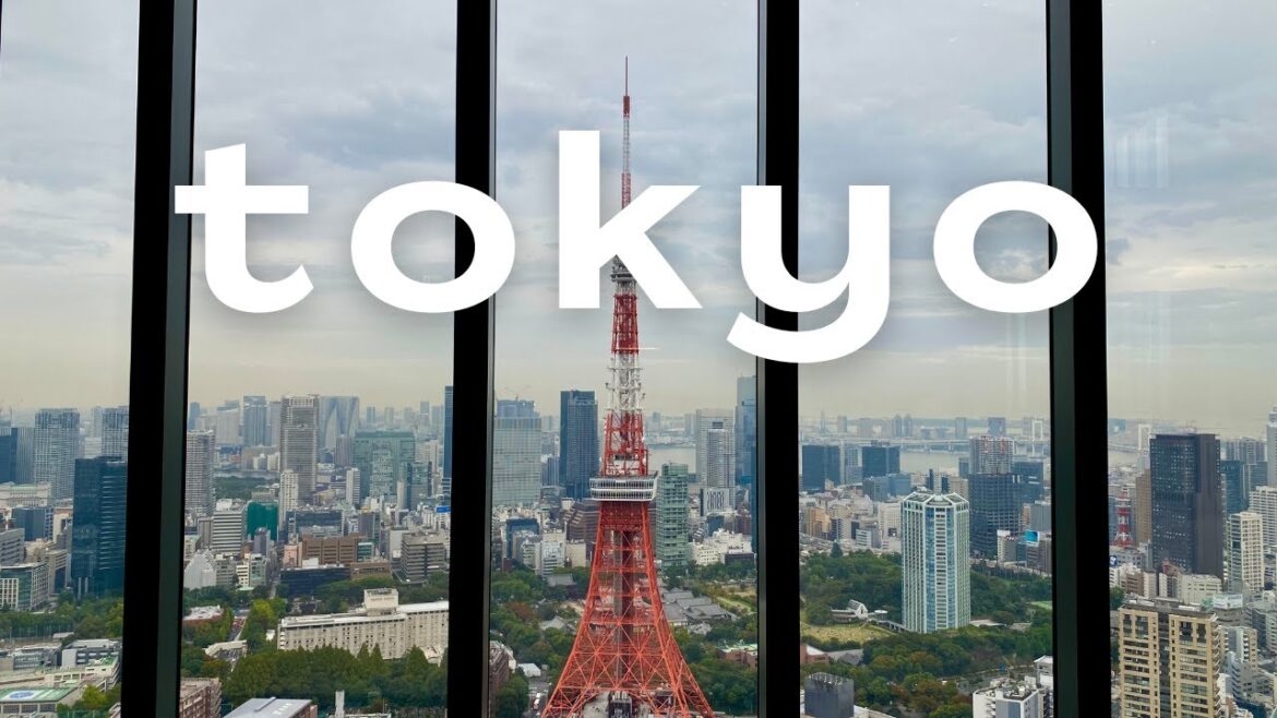 Japan Travel Vlog ep.7: Back in TOKYO | Tokyo Tower, Starbucks Reserve Roastery, 3D Cat