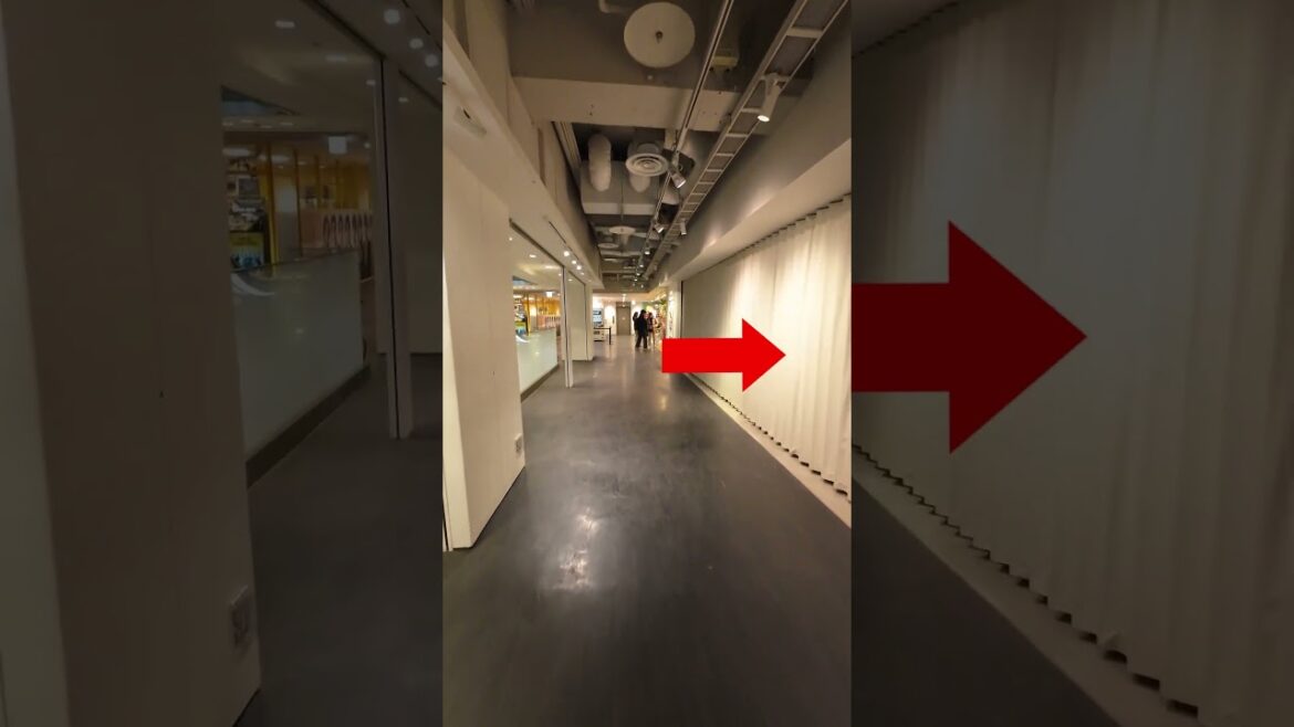 Parco Mall and South Pole at Sapporo, Hokkaido Japan #shorts #southpole #shoppingmall #sapporo