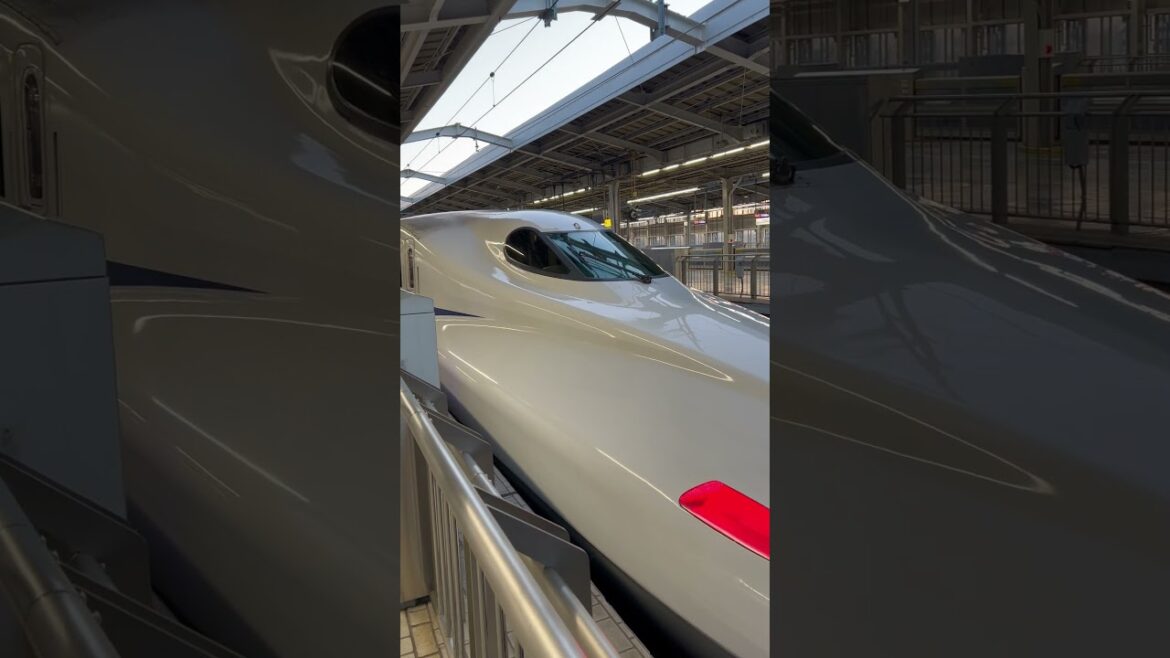 【OSAKA】Everyday Common Scene - Shin-Osaka Station