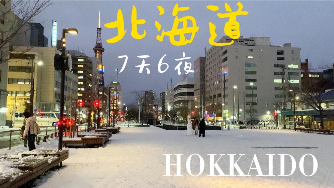 北海道-七天六夜｜札幌、函館自駕遊，為了追雪而安排了本趟旅程，結果只有兩天有下雪😅