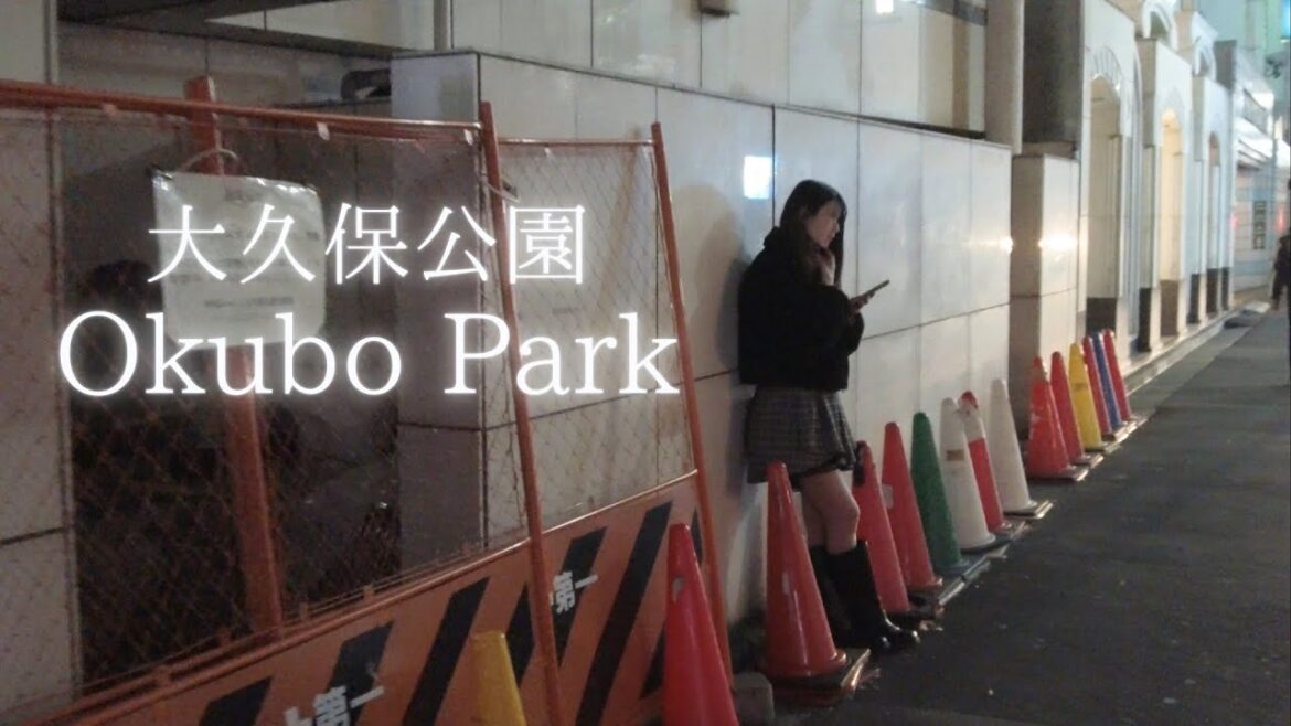 Kabukicho of Desire: A Walk Around Okubo Park at Night Kabukicho of Desire: A Walk Around Okubo Park at Night