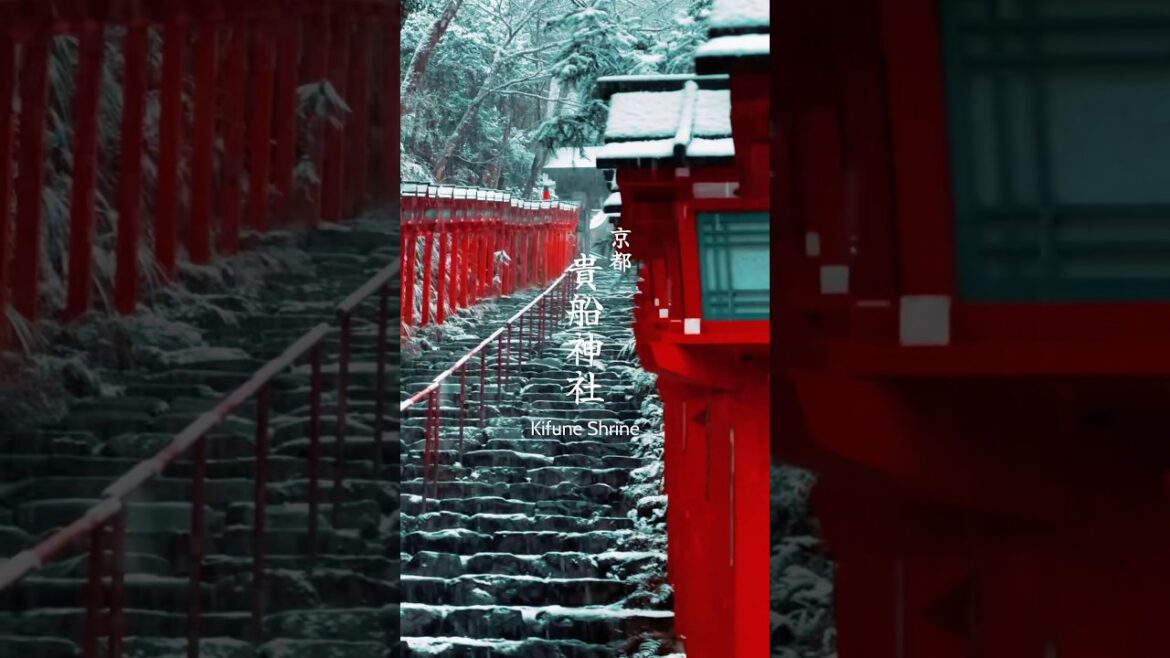 京都 貴船神社 雪景色 #japan #kyoto #travel #snow #shrine #日本 #京都 #新年 #初詣 #旅行 #雪景色 #神社仏閣 #貴船神社 #shorts
