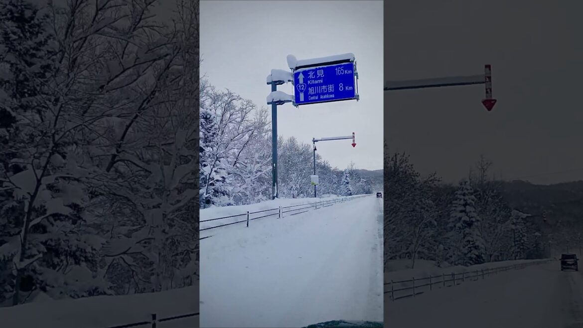 Travel in Japan: Experience Asahikawa City in Winter #travel #pinoytraveljapan #hokkaido #japanofw Travel in Japan: Experience Asahikawa City in Winter #travel #pinoytraveljapan #hokkaido #japanofw