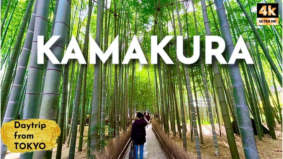 Little KYOTO | Kamakura One Day Train Trip near Tokyo | Ghibli-like seaside town | Japan Travel VLOG Little KYOTO | Kamakura One Day Train Trip near Tokyo | Ghibli-like seaside town | Japan Travel VLOG