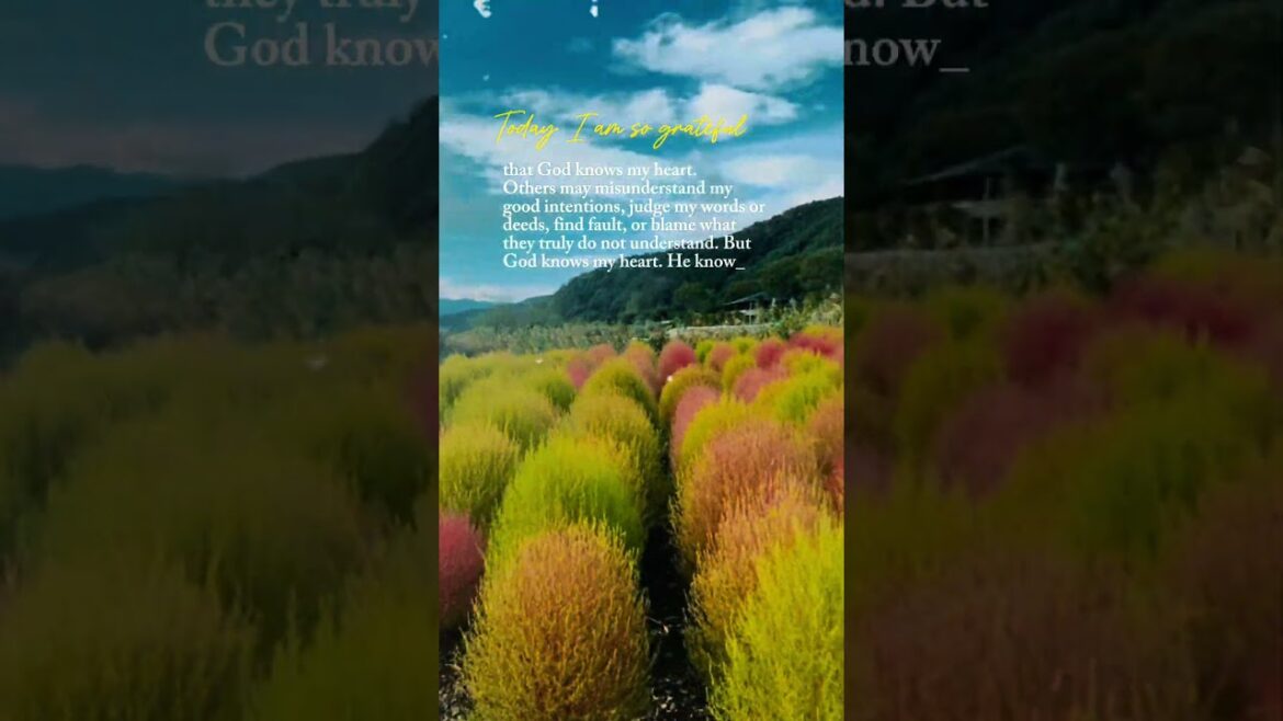 Oishi park, Lake Kawaguchiko. #mtfuji