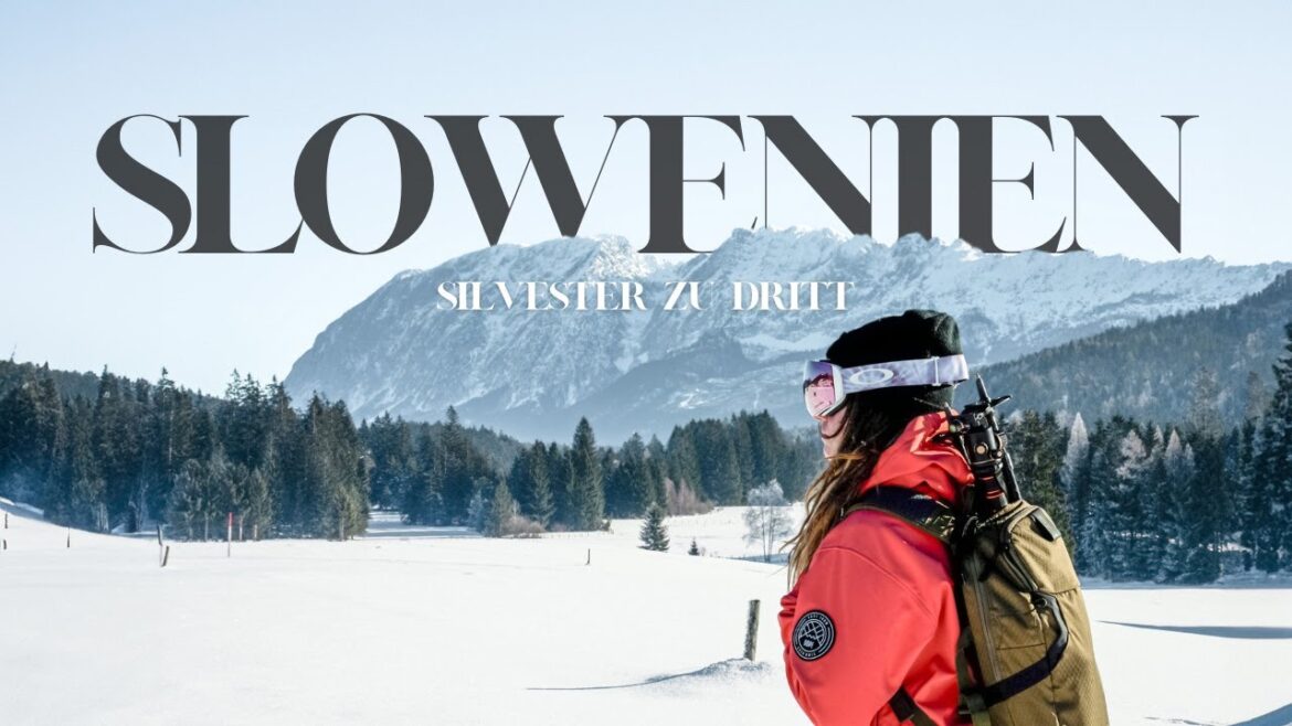 Unsere 2. SILVESTER Reise | VANLIFE mit HUND | VANLIFEVLOG 1.0