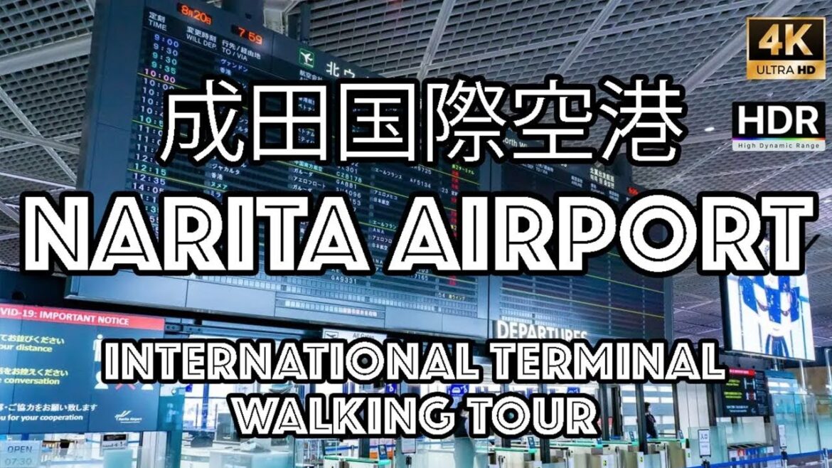 Narita Airport International Terminal (2) Japan Walking Tour : Japan Fall 2024 Series [4K][HDR]