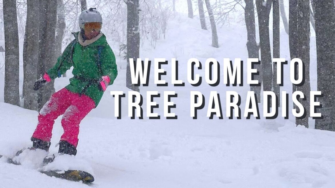 Home of Japan's Best Tree Runs? 🌲 Madarao & Tangram Ski Resorts 🏂🏻