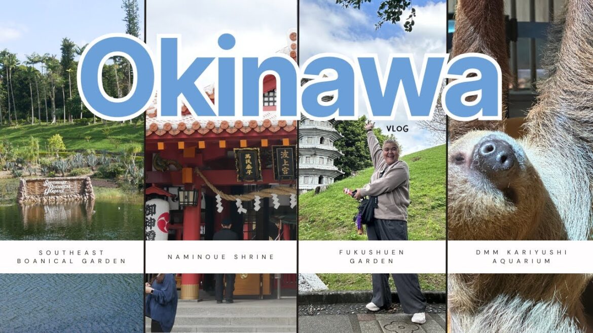 Okinawa Vlog: Last few days (Southeast Botanical Garden, Naminoue Shrine, Fukushuen Garden…) Okinawa Vlog: Last few days (Southeast Botanical Garden, Naminoue Shrine, Fukushuen Garden...)