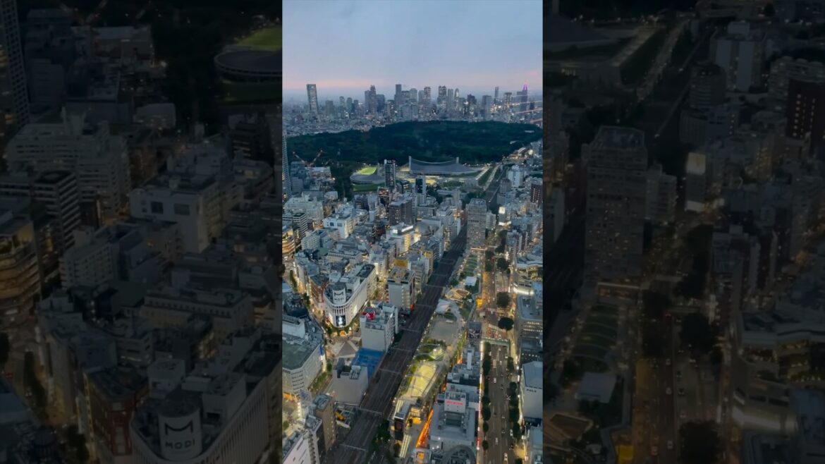 JAPAN is Nothing Short of AMAZING 🇯🇵👀#shorts #japan #travel