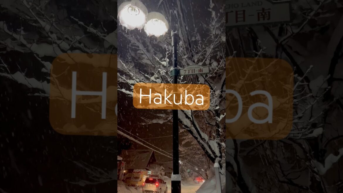 Snow season 2025 in #Hakuba, Nagano, #Japan ❄️