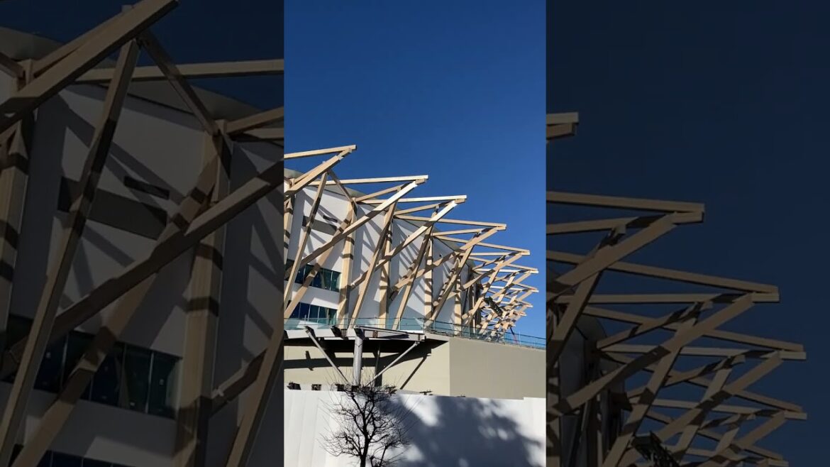 【記録映像】「IGアリーナ」新 愛知県体育館 建設中!南側から、2024.12.14撮影。巨大建築物の左側壁面はまだ青いシートに覆われていますが、右側は白い壁が見えています。2025年夏完成予定 【記録映像】「IGアリーナ」新 愛知県体育館 建設中!南側から、2024.12.14撮影。巨大建築物の左側壁面はまだ青いシートに覆われていますが、右側は白い壁が見えています。2025年夏完成予定