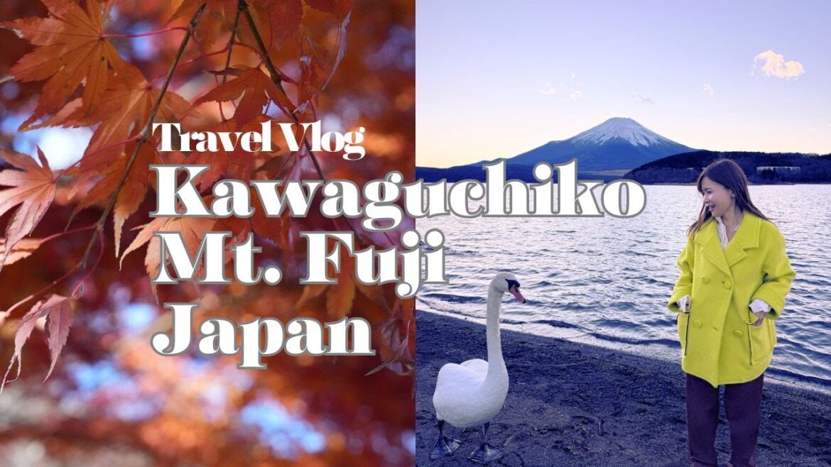 Day Trip to Kawaguchiko Japan to see swans, Mt Fuji and red leaves.