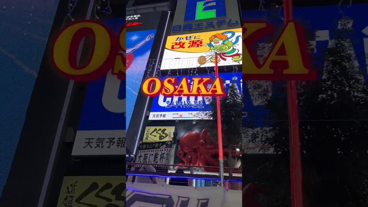 오사카 여행 4박 5일 여행 코스 60초 요약집🎡