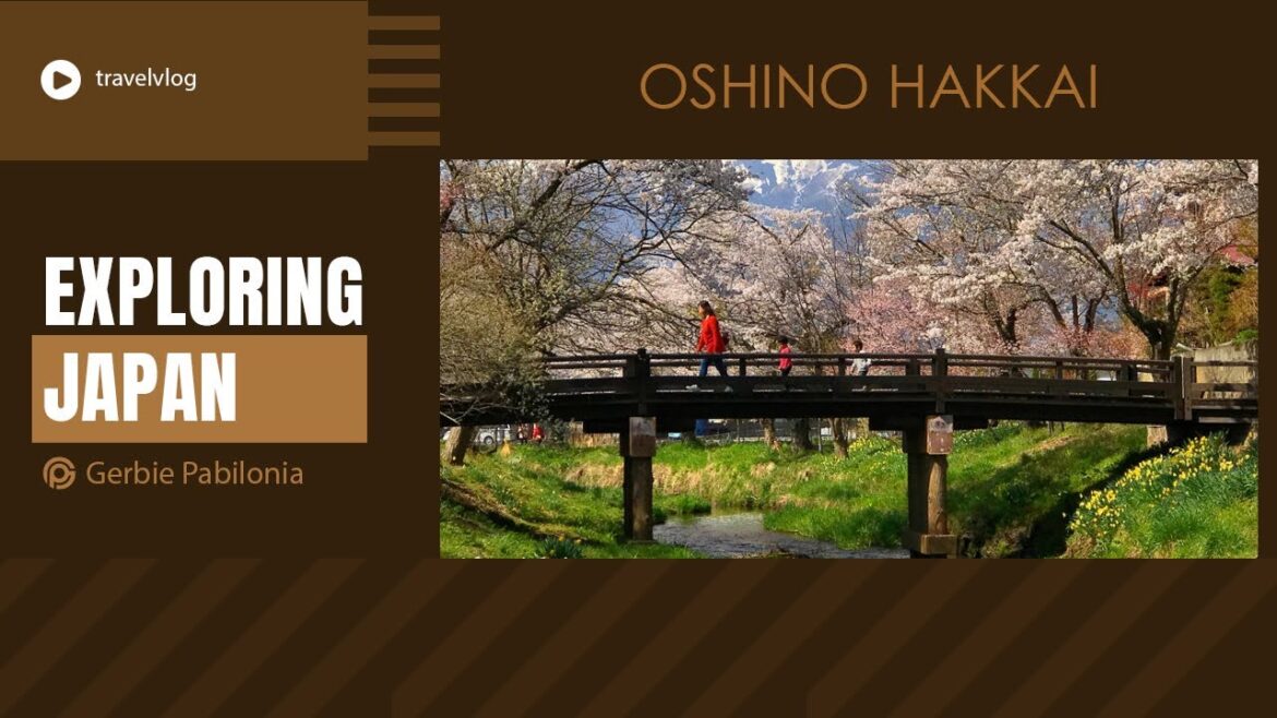 #japantravel 2024 / Oshino Hakkai / Best City-based tourist spots