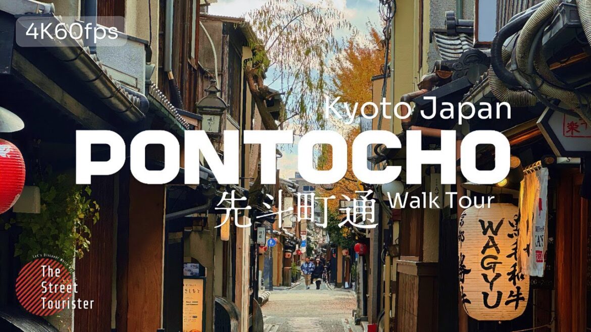 【京都散歩】 Kyoto Japan PONTOCHO Street 先斗町通 Walk Tour [4K60fps]