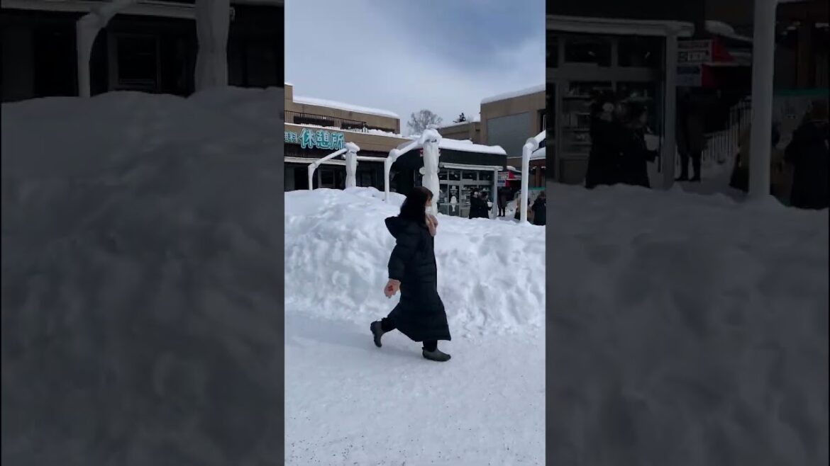 Beautiful Snowy Day at Asahiyama Zoo | Asahikawa Hokkaido