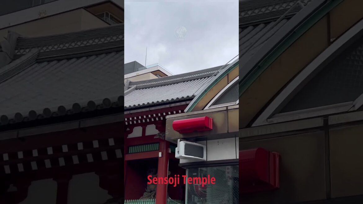 Sensoji Temple | 02  #japan #tokyo #sensojitemple #spirituality