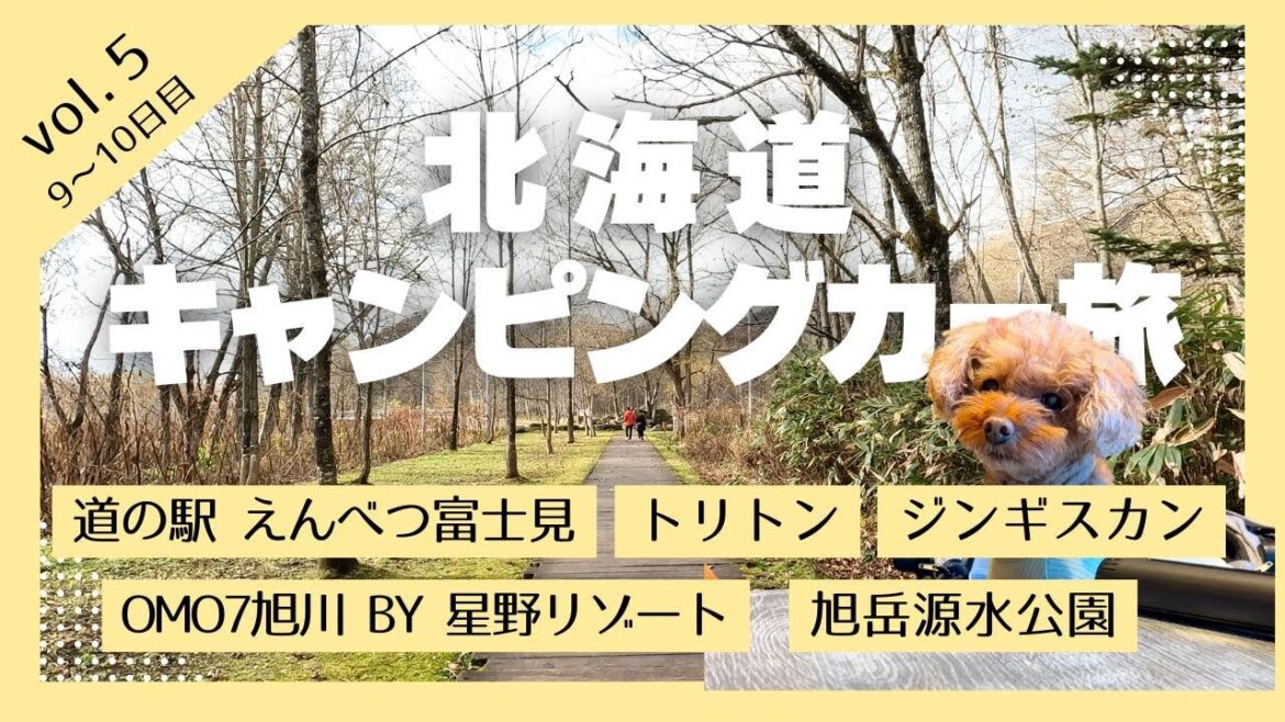 犬連れ旅【キャンピングカー 北海道 ⑤】今回はペットOKなOMO7旭川ホテルに泊まっちゃいます 犬連れ旅【キャンピングカー 北海道 ⑤】今回はペットOKなOMO7旭川ホテルに泊まっちゃいます
