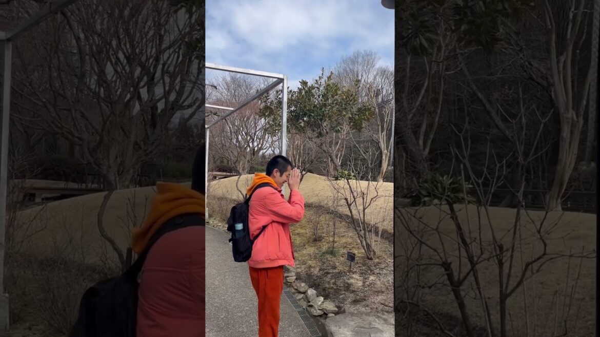 銀の森の鐘を鳴らす　初体験　岐阜県　恵那市　観光地　旅行　日帰り旅行　車旅行　遊ぶ場所　暇つぶし　大人の遊び方　幸せな生き方　楽しい人生の歩み方　自然いっぱい　癒される　好きな人と報われる　幸福な気分