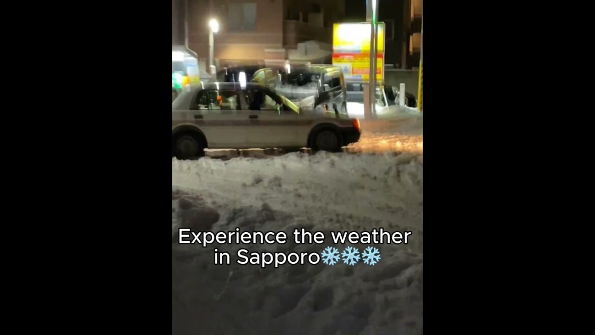 Experience the weather in Sapporo