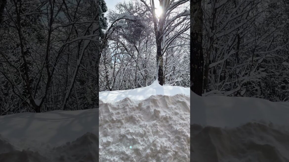 Heavy winter in japan |大雪|