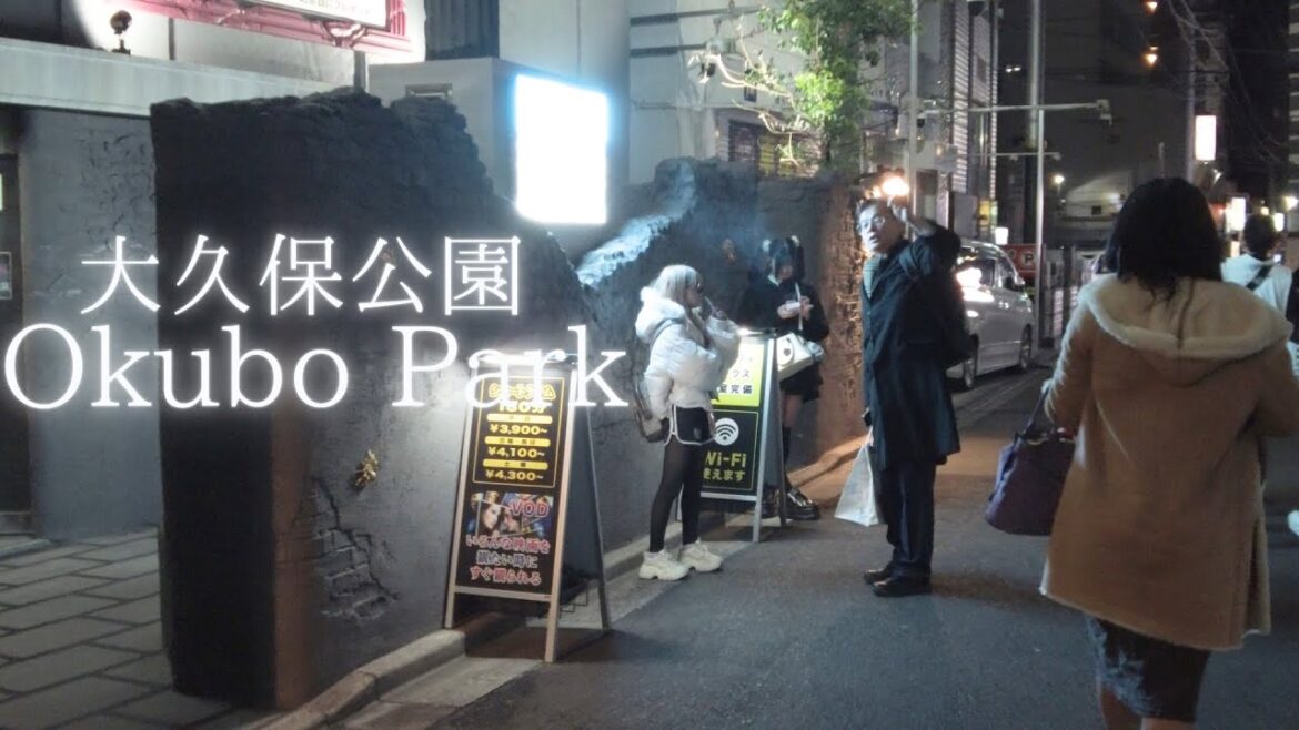 Kabukicho of Desire: A Walk Through Okubo Park at Night Kabukicho of Desire: A Walk Through Okubo Park at Night