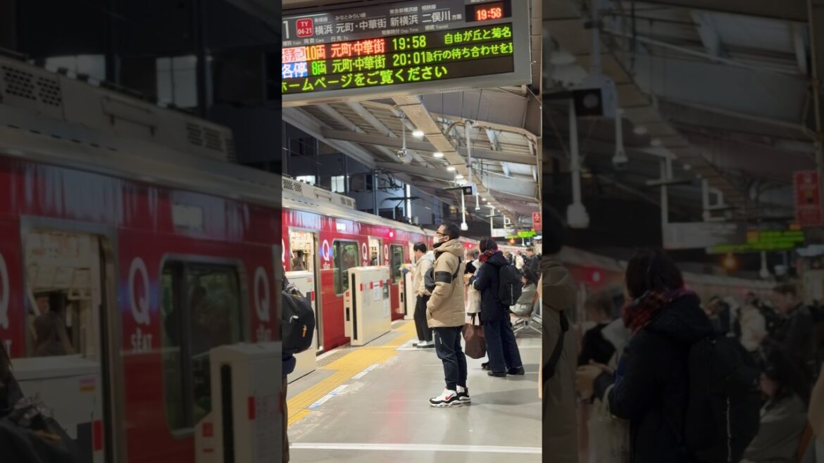 Why Train Platforms in Japan are so special ! ?#tokyo #japan ste  #fyp #shorts #train #travel