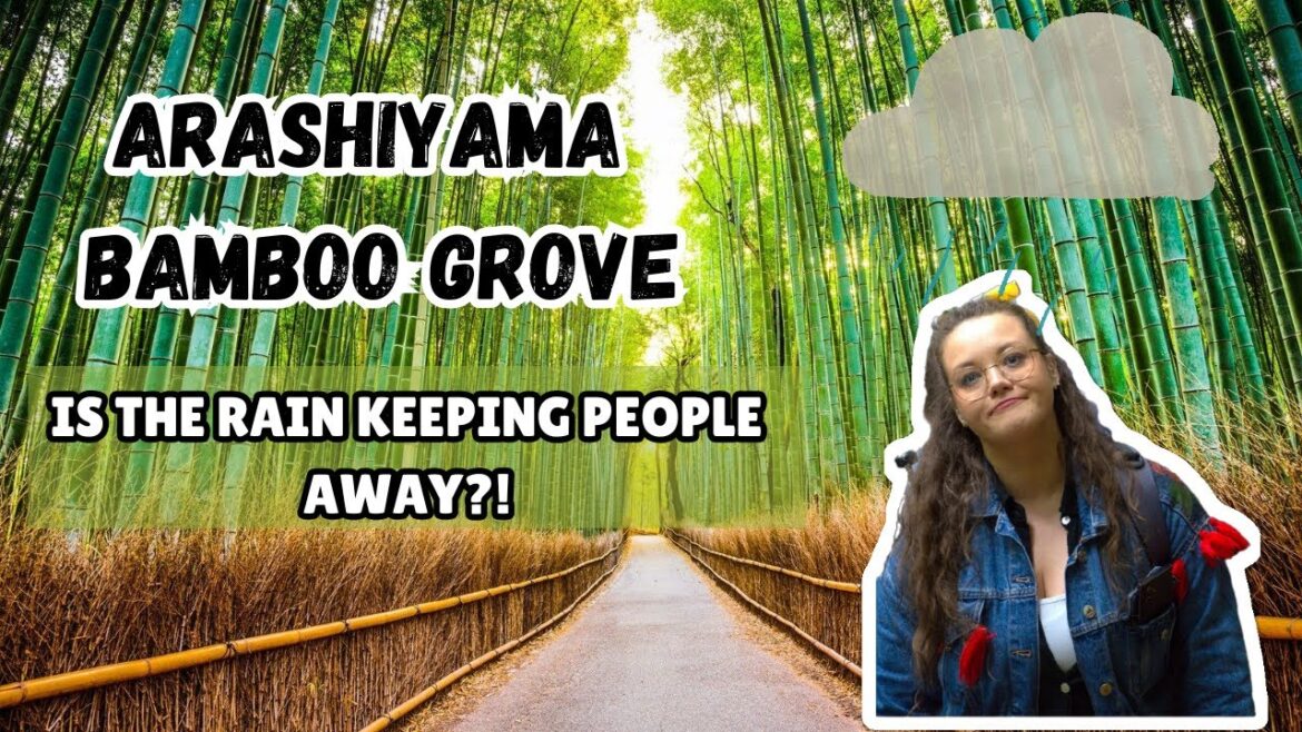 4 things YOU CAN DO on a RAINY DAY in KYOTO, Japan | FOOD, BAMBOO and FUN