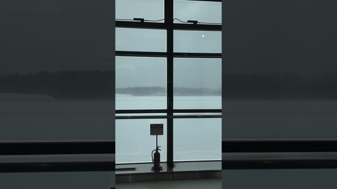 2024年12月 秋田雪降り過ぎ！ 　#Shorts