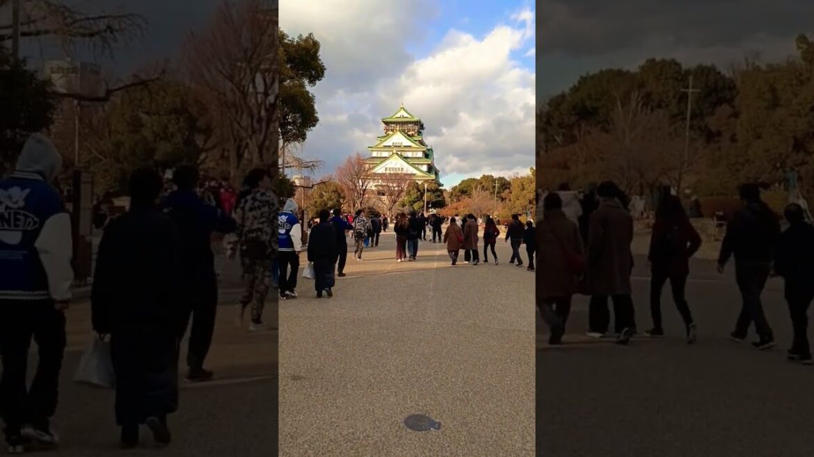#osaka #castle #japan  #jasexplorer #travel