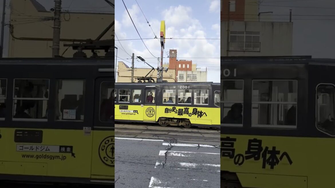 🇯🇵 Hakodate Tram in Hokkaido (2) 2024.11.16