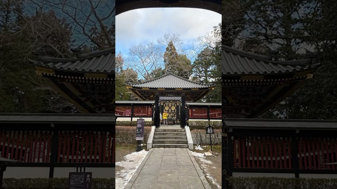 必見天女が舞う瑞鳳殿🐦‍🔥