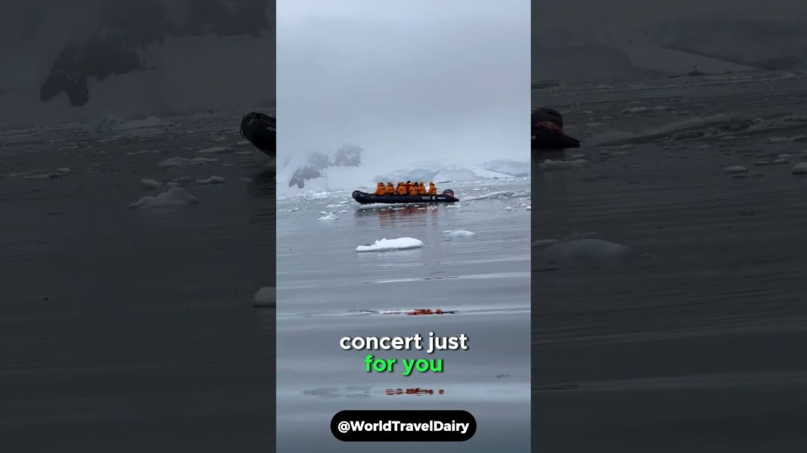 Top Travel Destinations for 2025: Tokyo, Iceland, Portugal, & Bali!