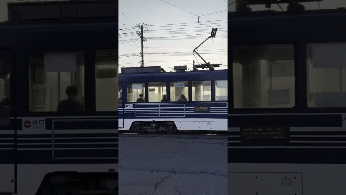 🇯🇵 Hakodate Tram in Hokkaido (1) 2024.11.16