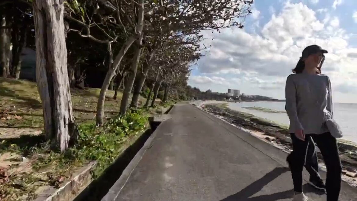 Bise Fukugi ride thru 1/19/2025