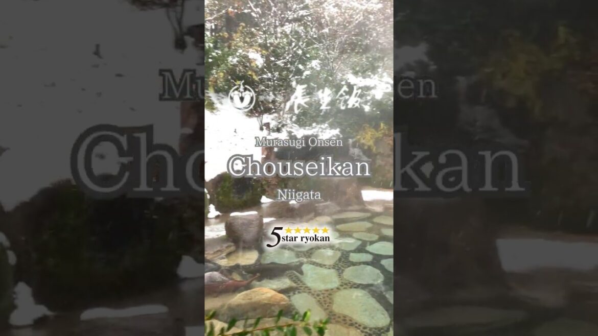 Chouseikan|Murasugionsen, Niigata Chouseikan|Murasugionsen, Niigata