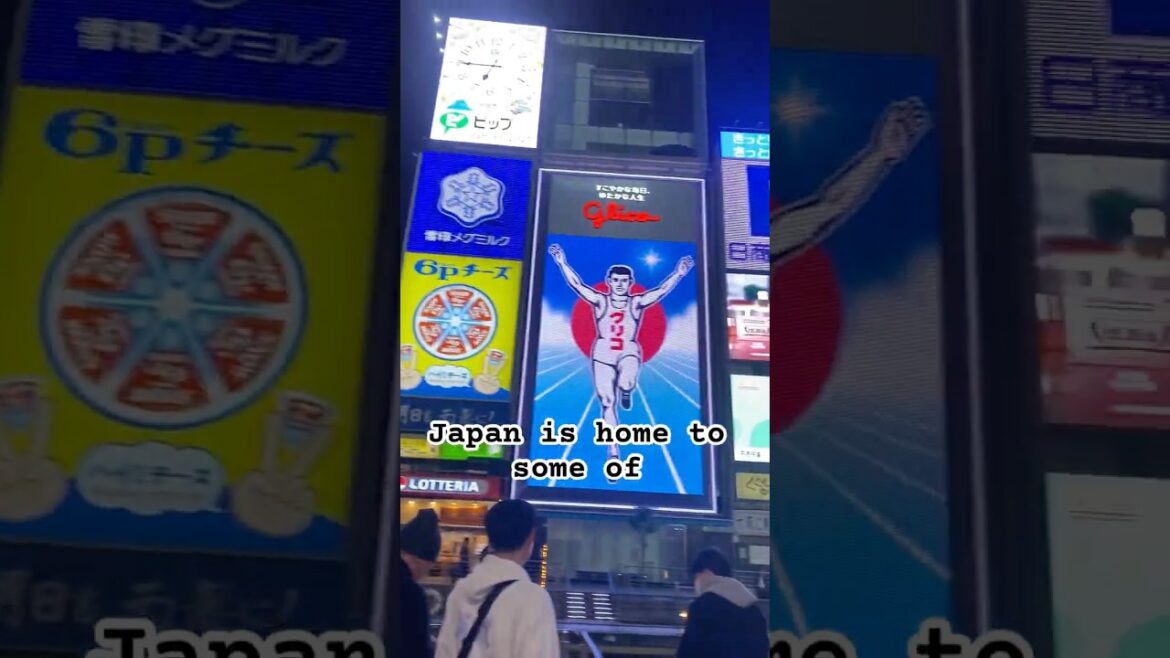 Trying Japan’s Most Popular Street Food #japantravel #streetfood Trying Japan’s Most Popular Street Food #japantravel #streetfood