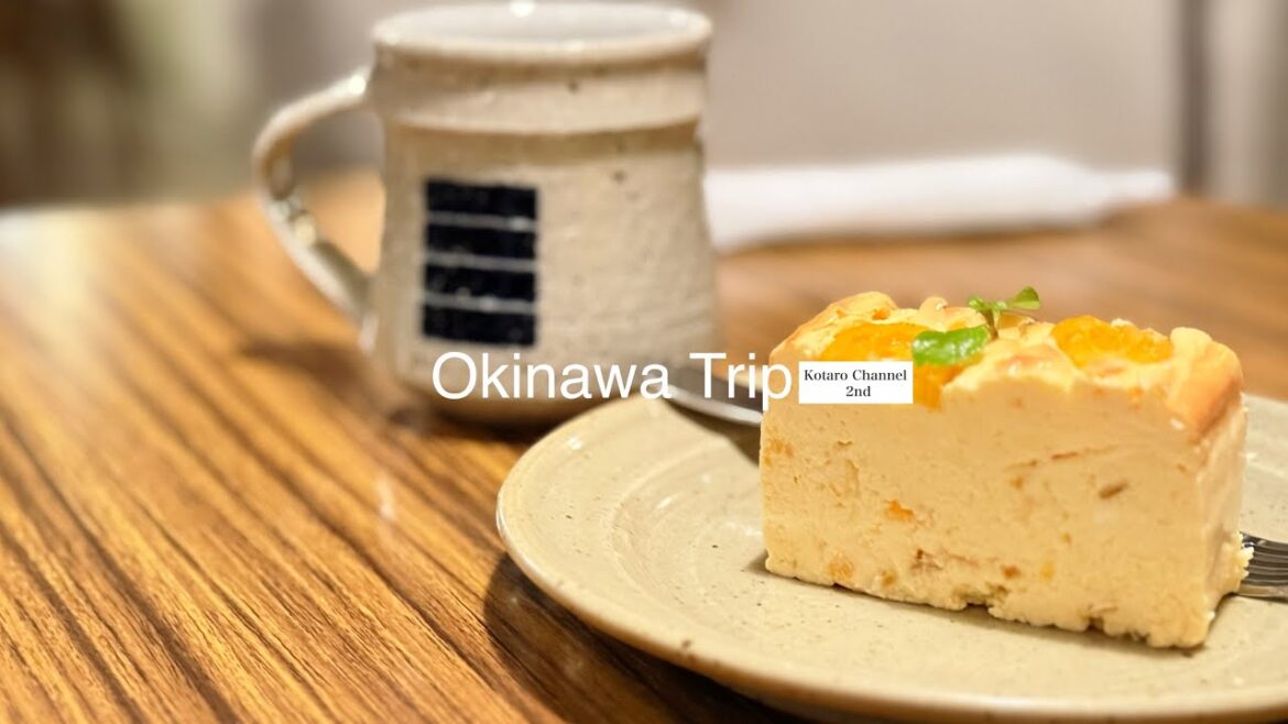 【OKINAWA】2025 Trip JAPANESE DANDY オキナワ トリップ #kotarochannel #沖縄 #vlog